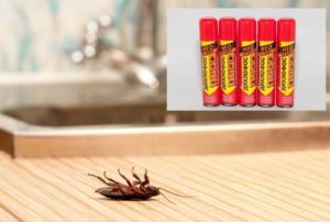 Как избавиться от появившихся тараканов? Народные способы или вызов специалиста?